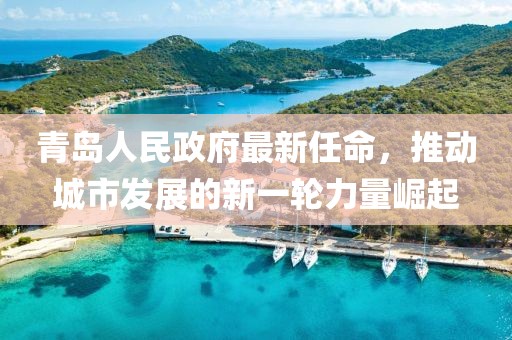 青島人民政府最新任命，推動(dòng)城市發(fā)展的新一輪力量崛起