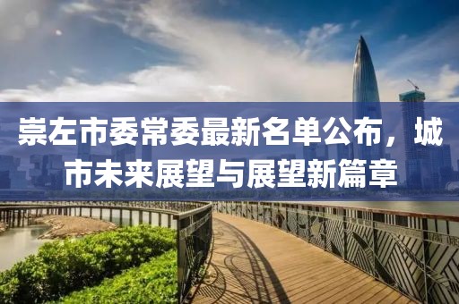 崇左市委常委最新名單公布，城市未來展望與展望新篇章