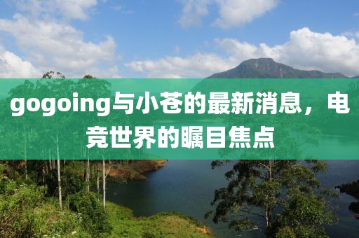 gogoing與小蒼的最新消息，電競(jìng)世界的矚目焦點(diǎn)