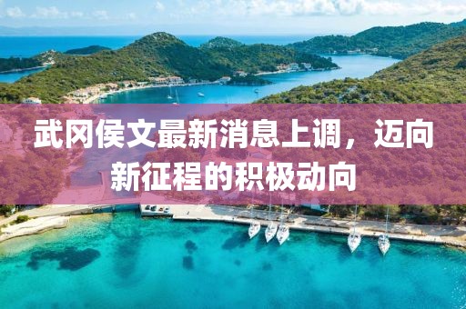武岡侯文最新消息上調(diào)，邁向新征程的積極動(dòng)向