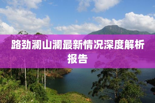 路勁瀾山瀾最新情況深度解析報告