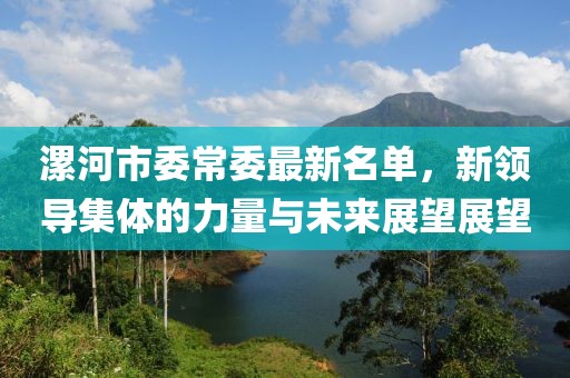 漯河市委常委最新名單，新領(lǐng)導(dǎo)集體的力量與未來展望展望