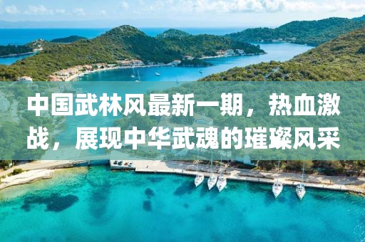 中國武林風最新一期，熱血激戰(zhàn)，展現(xiàn)中華武魂的璀璨風采