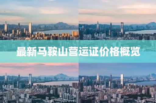 最新馬鞍山營(yíng)運(yùn)證價(jià)格概覽