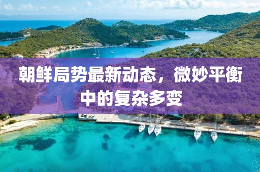 朝鮮局勢最新動態(tài)，微妙平衡中的復(fù)雜多變