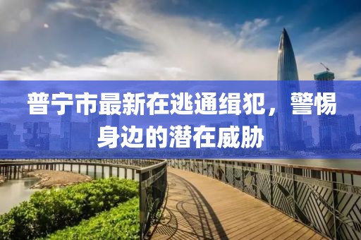 普寧市最新在逃通緝犯，警惕身邊的潛在威脅