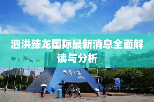 泗洪臻龍國際最新消息全面解讀與分析