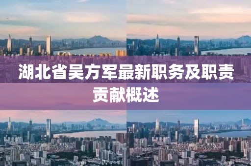 湖北省吳方軍最新職務及職責貢獻概述