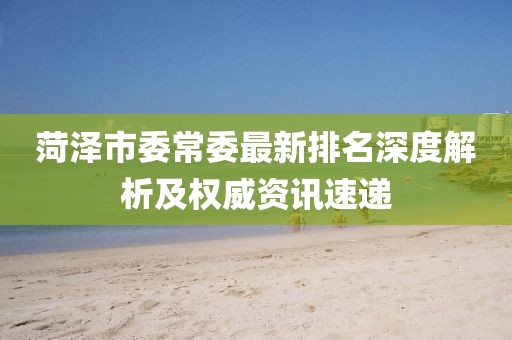 菏澤市委常委最新排名深度解析及權(quán)威資訊速遞