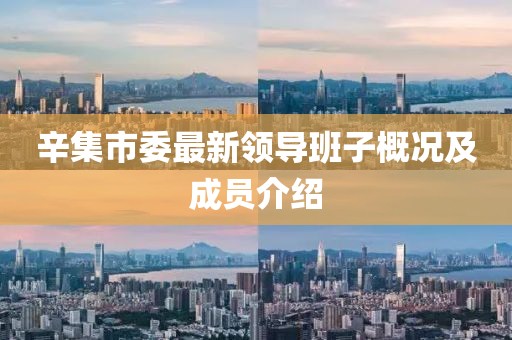 辛集市委最新領導班子概況及成員介紹