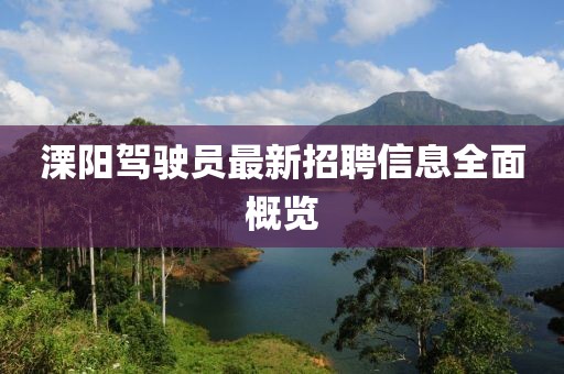 溧陽(yáng)駕駛員最新招聘信息全面概覽