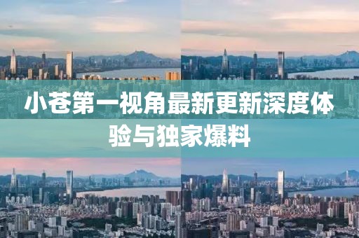 小蒼第一視角最新更新深度體驗(yàn)與獨(dú)家爆料