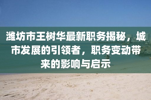 濰坊市王樹華最新職務(wù)揭秘，城市發(fā)展的引領(lǐng)者，職務(wù)變動帶來的影響與啟示