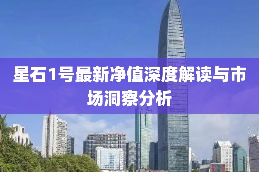 星石1號最新凈值深度解讀與市場洞察分析