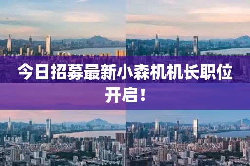 今日招募最新小森機(jī)機(jī)長(zhǎng)職位開(kāi)啟！