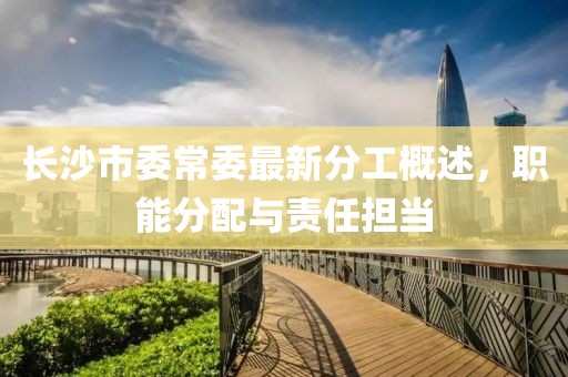 長沙市委常委最新分工概述，職能分配與責任擔當