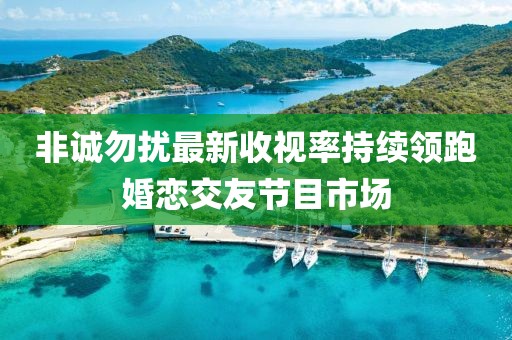 非誠勿擾最新收視率持續(xù)領跑婚戀交友節(jié)目市場