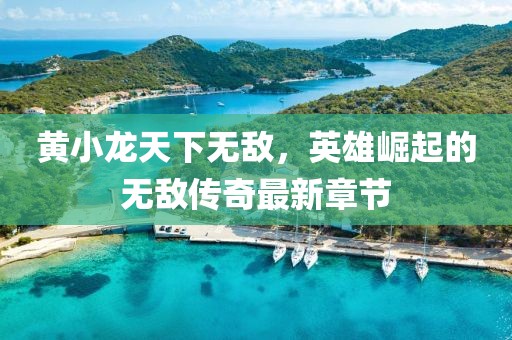 黃小龍?zhí)煜聼o敵，英雄崛起的無敵傳奇最新章節(jié)