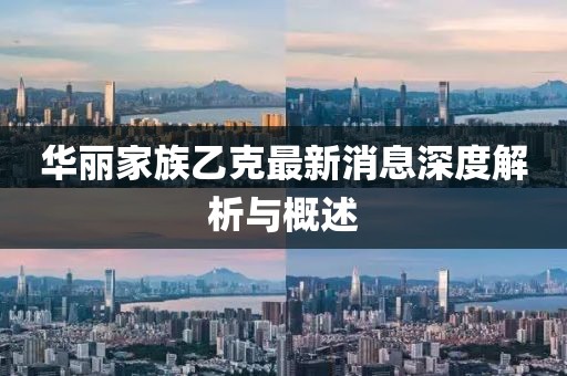 華麗家族乙克最新消息深度解析與概述
