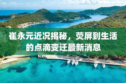 崔永元近況揭秘，熒屏到生活的點(diǎn)滴變遷最新消息