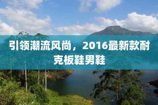 引領潮流風尚，2016最新款耐克板鞋男鞋