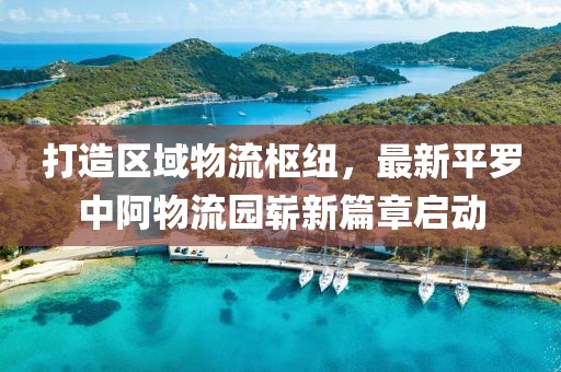 打造區(qū)域物流樞紐，最新平羅中阿物流園嶄新篇章啟動