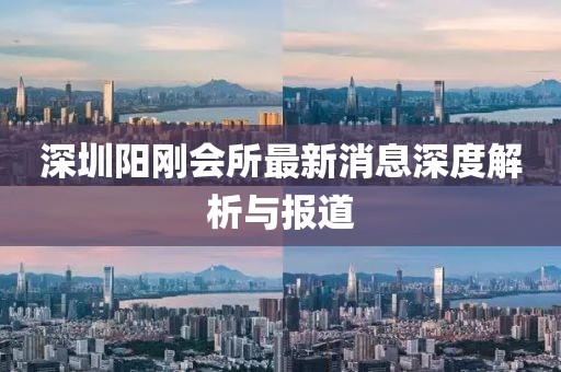 深圳陽剛會所最新消息深度解析與報道