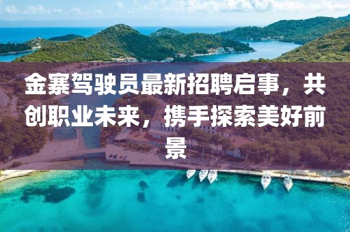 金寨駕駛員最新招聘啟事，共創(chuàng)職業(yè)未來，攜手探索美好前景