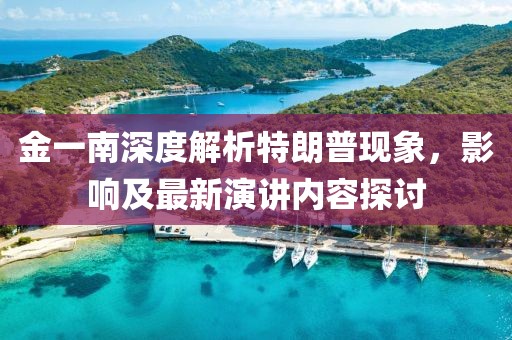金一南深度解析特朗普現(xiàn)象，影響及最新演講內容探討
