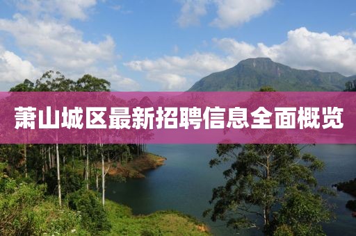 蕭山城區(qū)最新招聘信息全面概覽