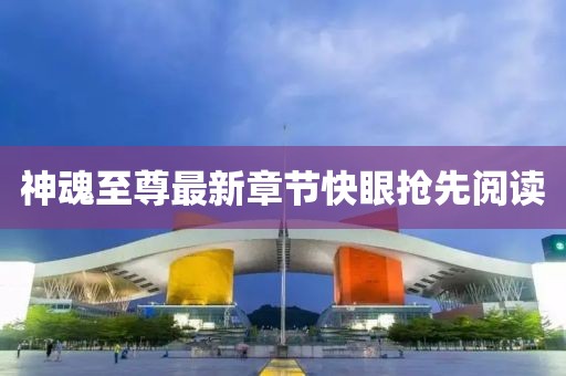 神魂至尊最新章節(jié)快眼搶先閱讀