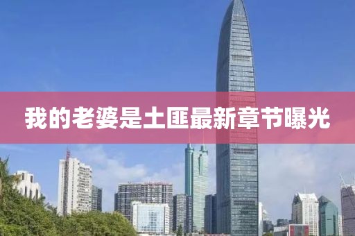 我的老婆是土匪最新章節(jié)曝光