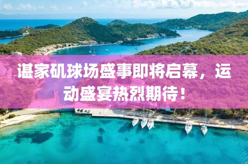 諶家磯球場盛事即將啟幕，運動盛宴熱烈期待！
