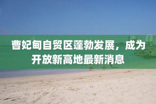 曹妃甸自貿(mào)區(qū)蓬勃發(fā)展，成為開放新高地最新消息