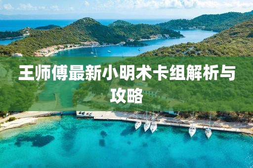 王師傅最新小明術(shù)卡組解析與攻略