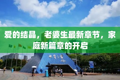 愛的結(jié)晶，老婆生最新章節(jié)，家庭新篇章的開啟