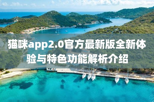 貓咪app2.0官方最新版全新體驗(yàn)與特色功能解析介紹