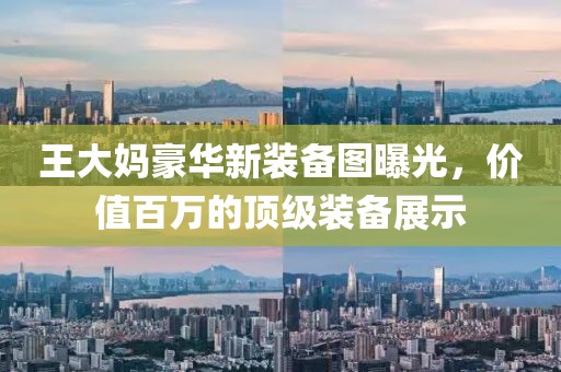 王大媽豪華新裝備圖曝光，價(jià)值百萬的頂級(jí)裝備展示