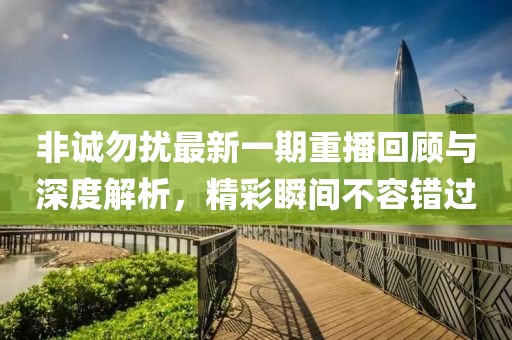 非誠勿擾最新一期重播回顧與深度解析，精彩瞬間不容錯過