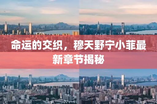 命運(yùn)的交織，穆天野寧小菲最新章節(jié)揭秘