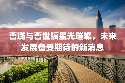 曹璐與曹世鎬星光璀璨，未來發(fā)展備受期待的新消息