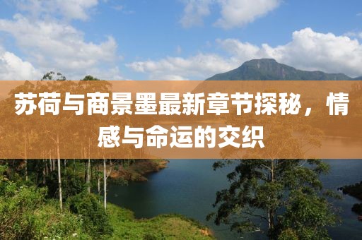 蘇荷與商景墨最新章節(jié)探秘，情感與命運(yùn)的交織