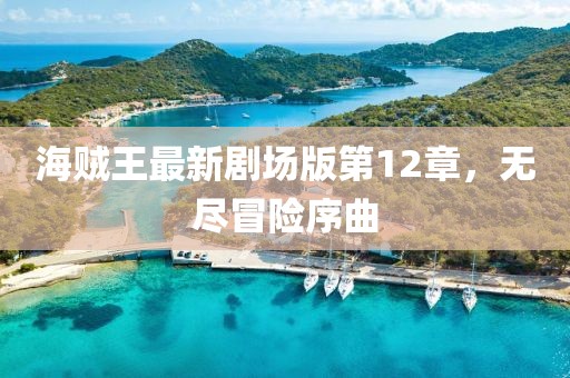 海賊王最新劇場(chǎng)版第12章，無(wú)盡冒險(xiǎn)序曲