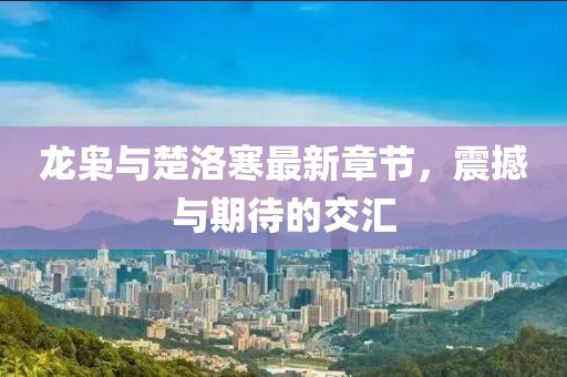 龍梟與楚洛寒最新章節(jié)，震撼與期待的交匯