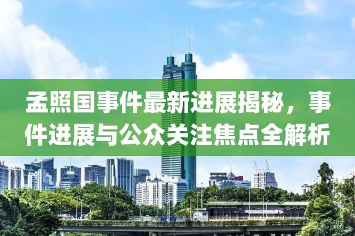 孟照國事件最新進展揭秘，事件進展與公眾關(guān)注焦點全解析
