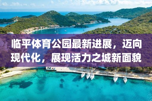 臨平體育公園最新進展，邁向現代化，展現活力之城新面貌