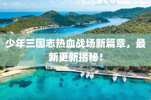 少年三國(guó)志熱血戰(zhàn)場(chǎng)新篇章，最新更新揭秘！
