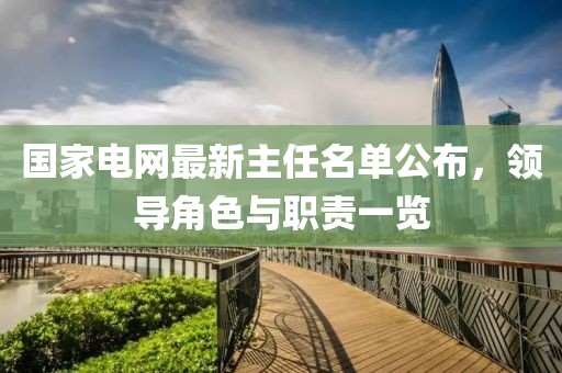 國(guó)家電網(wǎng)最新主任名單公布，領(lǐng)導(dǎo)角色與職責(zé)一覽