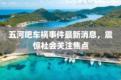 五河吧車(chē)禍?zhǔn)录钚孪ⅲ痼@社會(huì)關(guān)注焦點(diǎn)