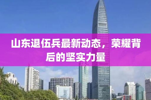 山東退伍兵最新動(dòng)態(tài)，榮耀背后的堅(jiān)實(shí)力量
